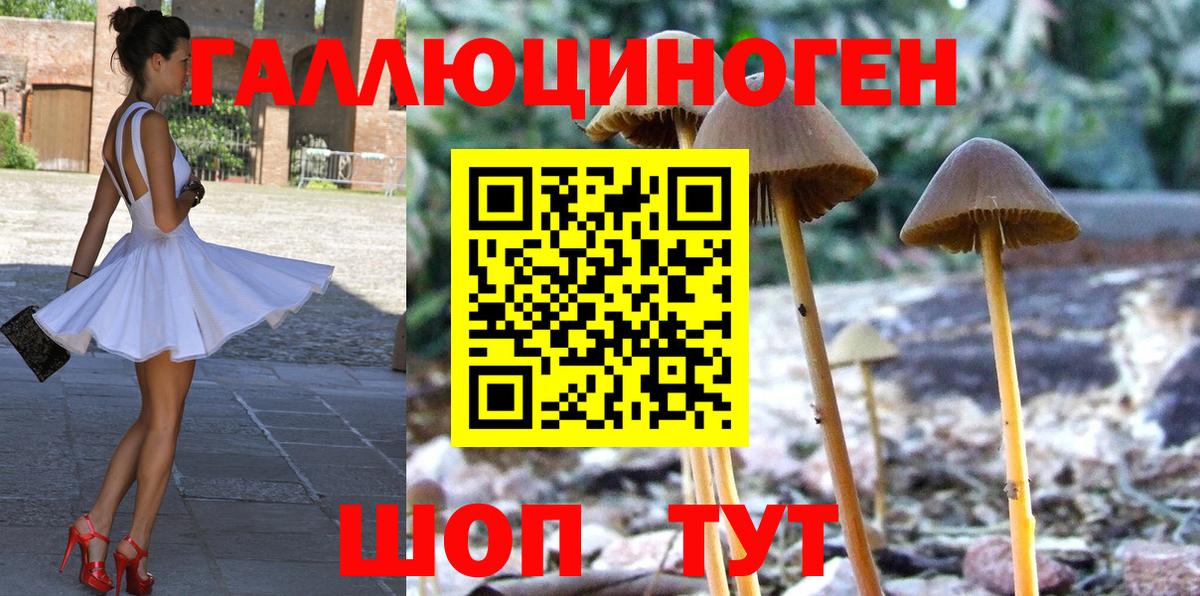 купить наркотики цена  Галлюциногенные грибы MAGIC MUSHROOMS  Вход с VPN  Пыть-Ях 